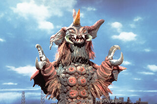 ゾルゲ市蔵 tweet media