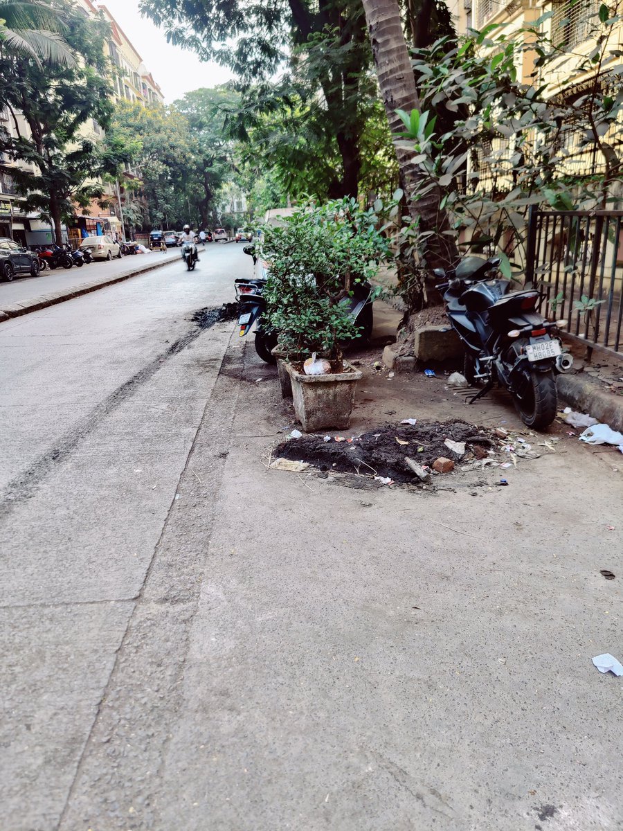 RahulG18591's tweet photo. @mybmc it's been a week since the gutters were cleaned , however you'll kept it out on the road and no one has come to clear it!! Location Mhada near Aishwarya building, and entire lane is like this ,kindly clear the same plz https://t.co/3dk73L2bPA
