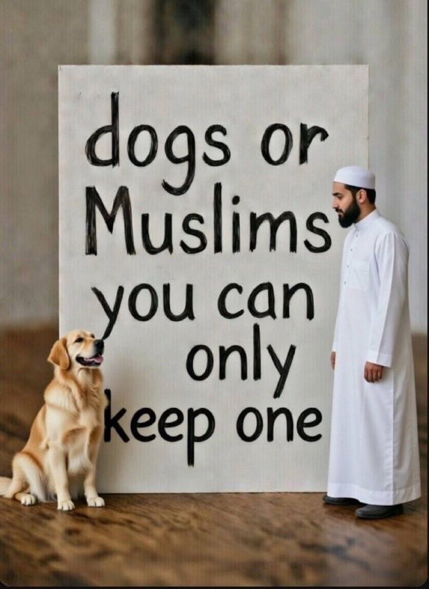 N Ecc 🏴󠁧󠁢󠁥󠁮󠁧󠁿🏴󠁧󠁢󠁥󠁮󠁧󠁿🏴󠁧󠁢󠁥󠁮󠁧󠁿 tweet media