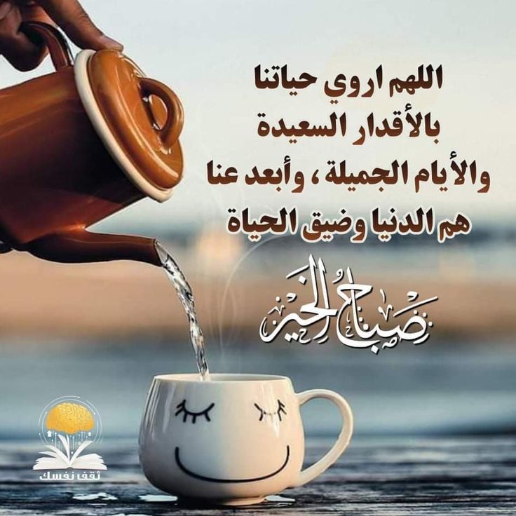 اسامة عبد الفتاح tweet media