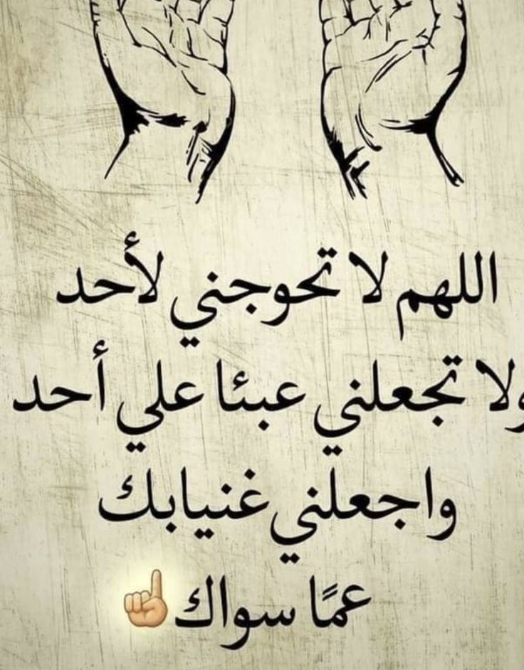 اسامة عبد الفتاح tweet media