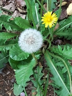 トシ　冬場の脳梗塞ご用心 tweet media