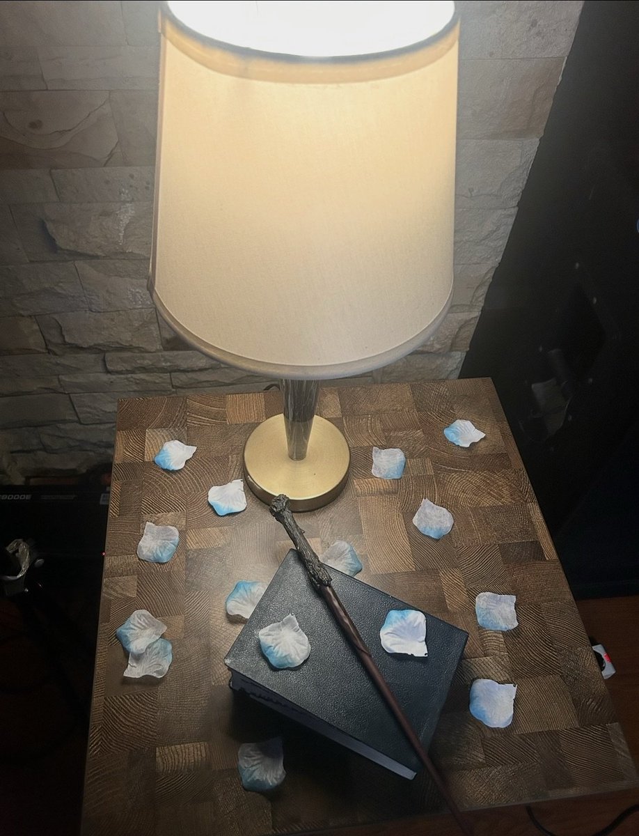 tapiocaalice 🧋🦋♪ˎˊ˗【Negi no Tomodachi】 tweet media