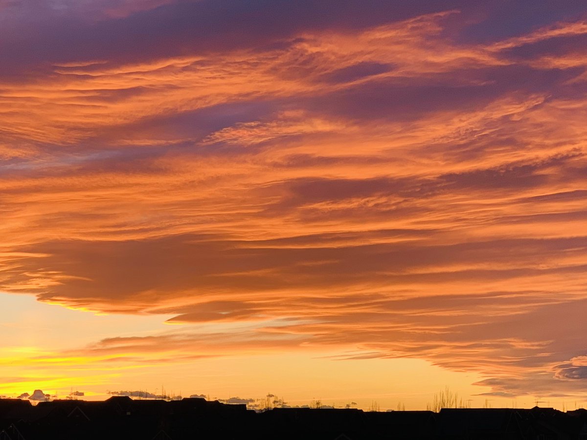 AnneWilkie52's tweet image. Unreal fiery sunset tonight. 🙌😃
#yyc #abstorm #sunset