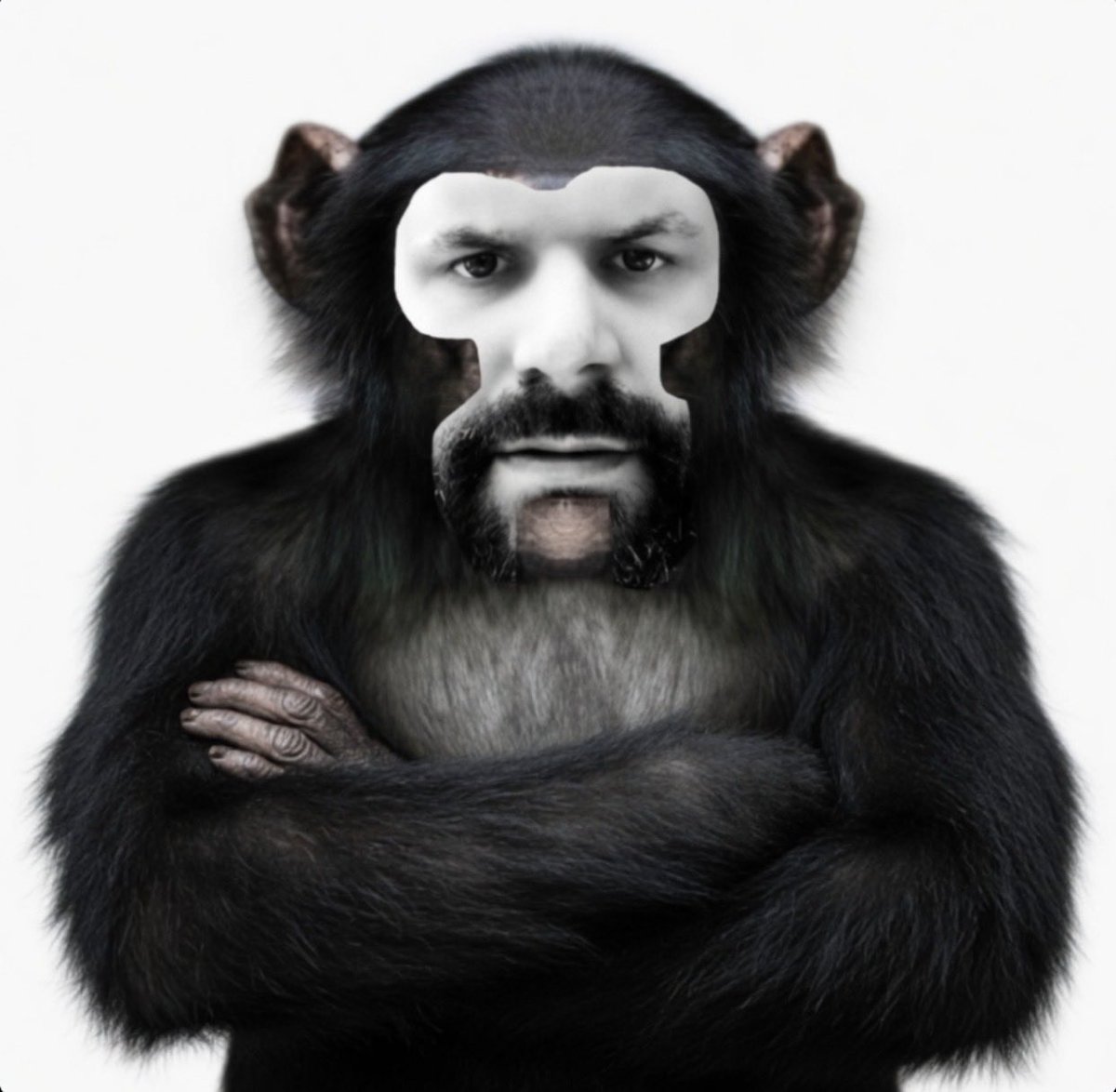 FEAR NO MORE tweet media