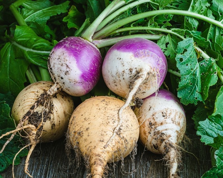 VegPlotter.com tweet media