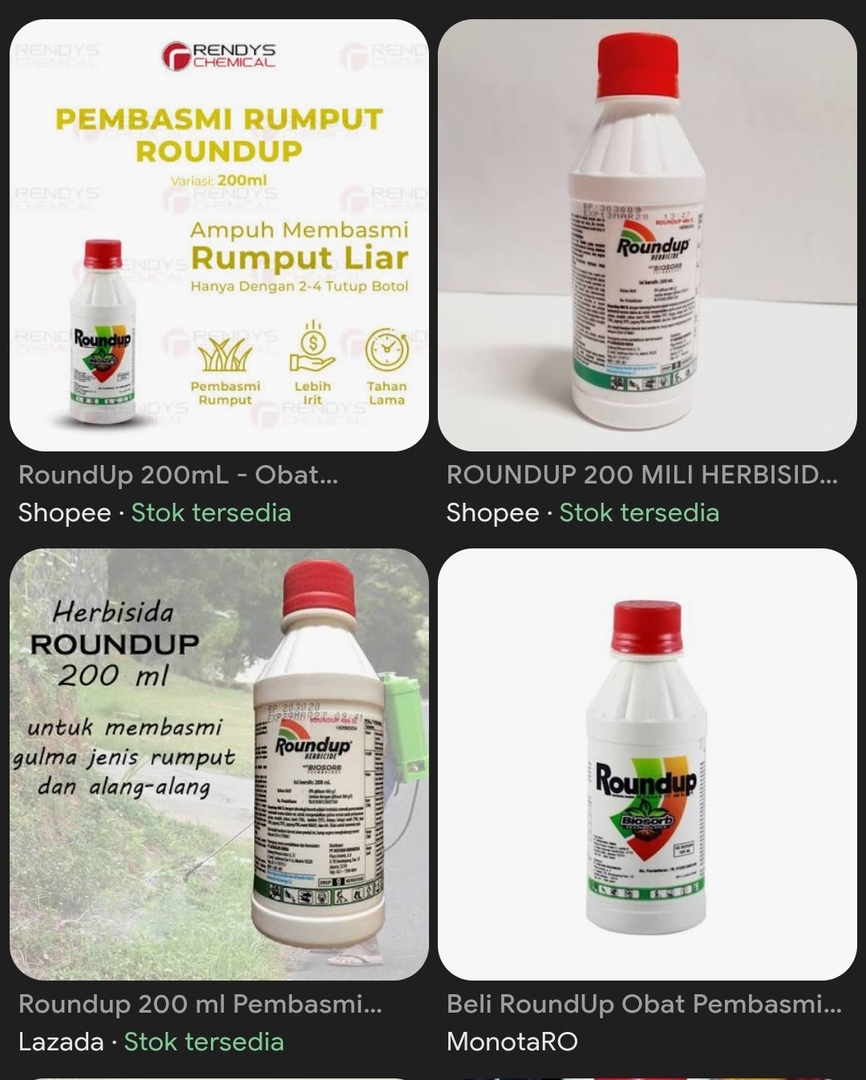 🦈 SUROBOYOFESS 🐊 tweet media