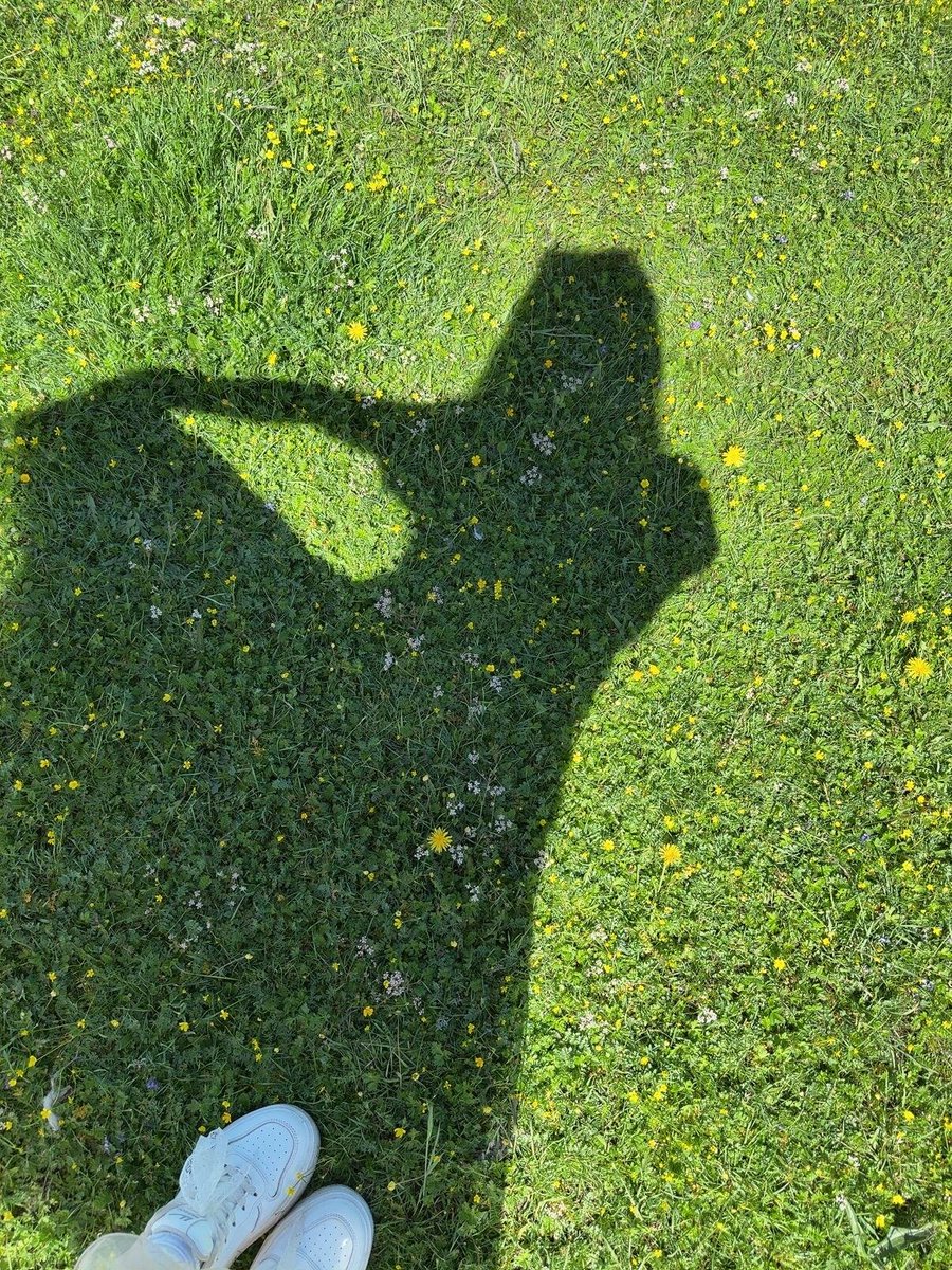 リノ (Rino) tweet media