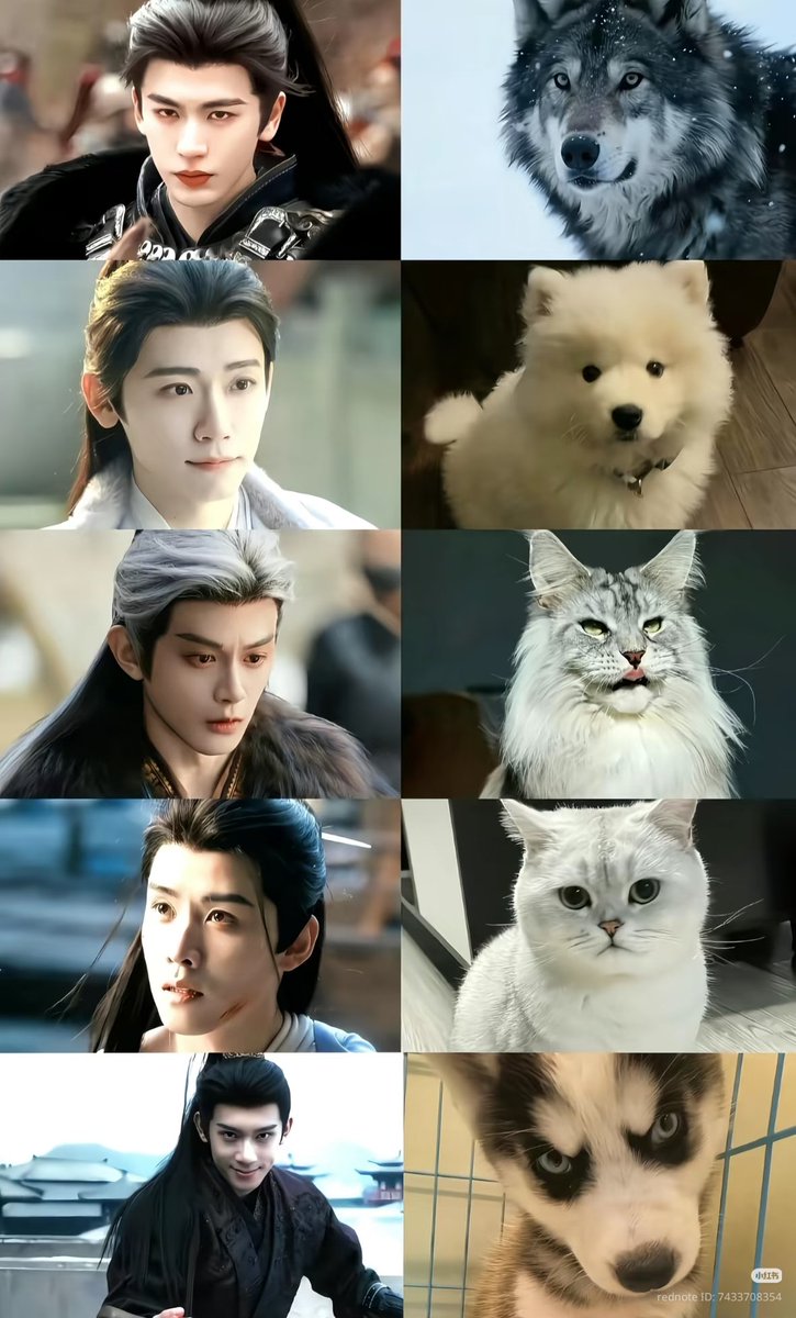 This is so on point ☺️.

#PursuitOfJade #ZhangLinghe #DengKai #LinMuran #LiQing #RenHao