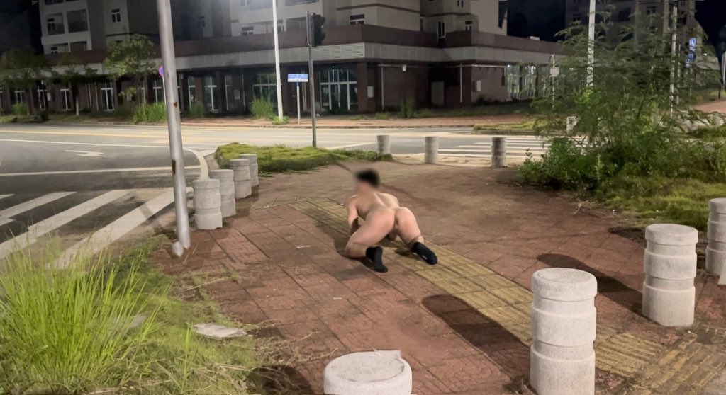 燕麦荔枝 tweet media