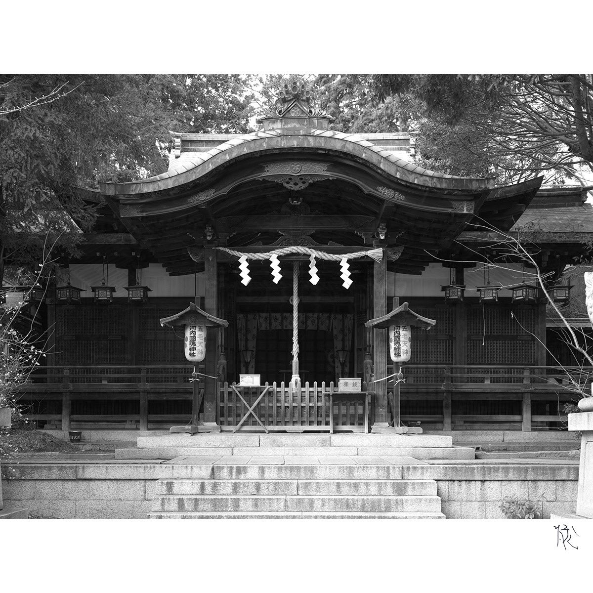 phighden's tweet photo. 拝田作品
河内國魂神社

社殿がおおらかに鎮守の森に覆われた佇まい
自然に溶け込む時代の形ではないでしょうか https://t.co/SwycmK2vck