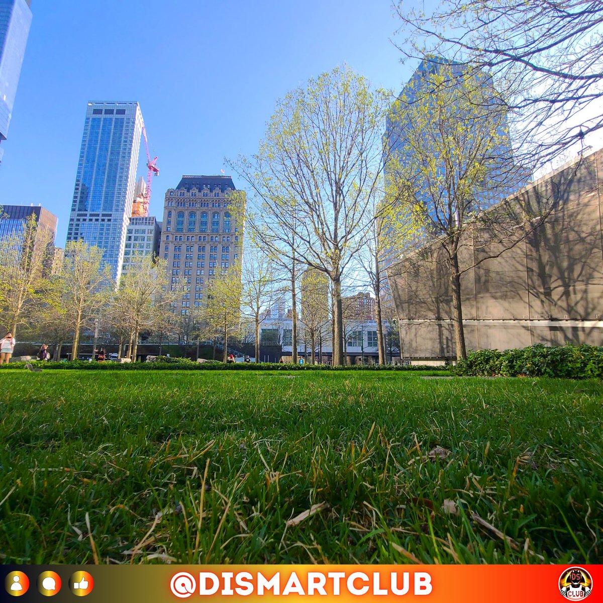 DiSmartCLUB's tweet photo. Spring in the city 🌿
Summer is almost here.
Energy is rising, the city feels alive again.
Take this moment to recharge, move forward, and create something new.
https://t.co/b06PsjL7Dl
From DiSMART CLUB - stay inspired 💎
#spring #summer #nyc #manhattan #citylife #vibes #newyork https://t.co/RCXsvoGxHT