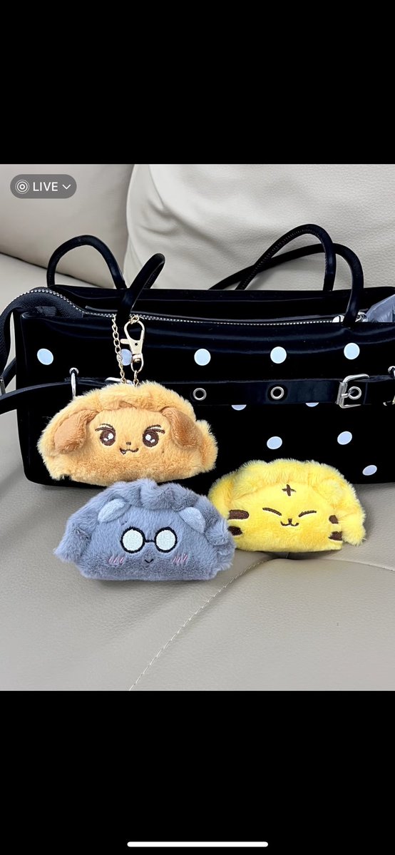 shia | cn lapags tweet media