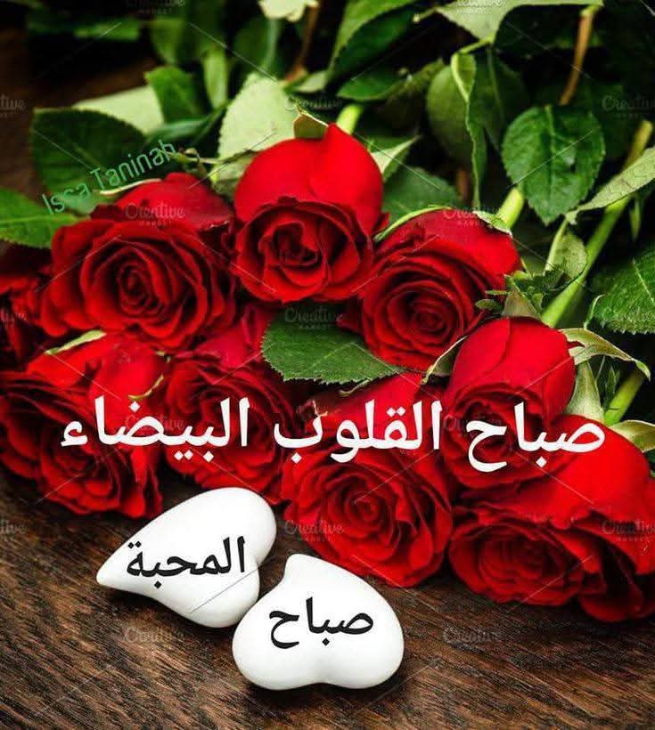 ashraf10867 tweet media