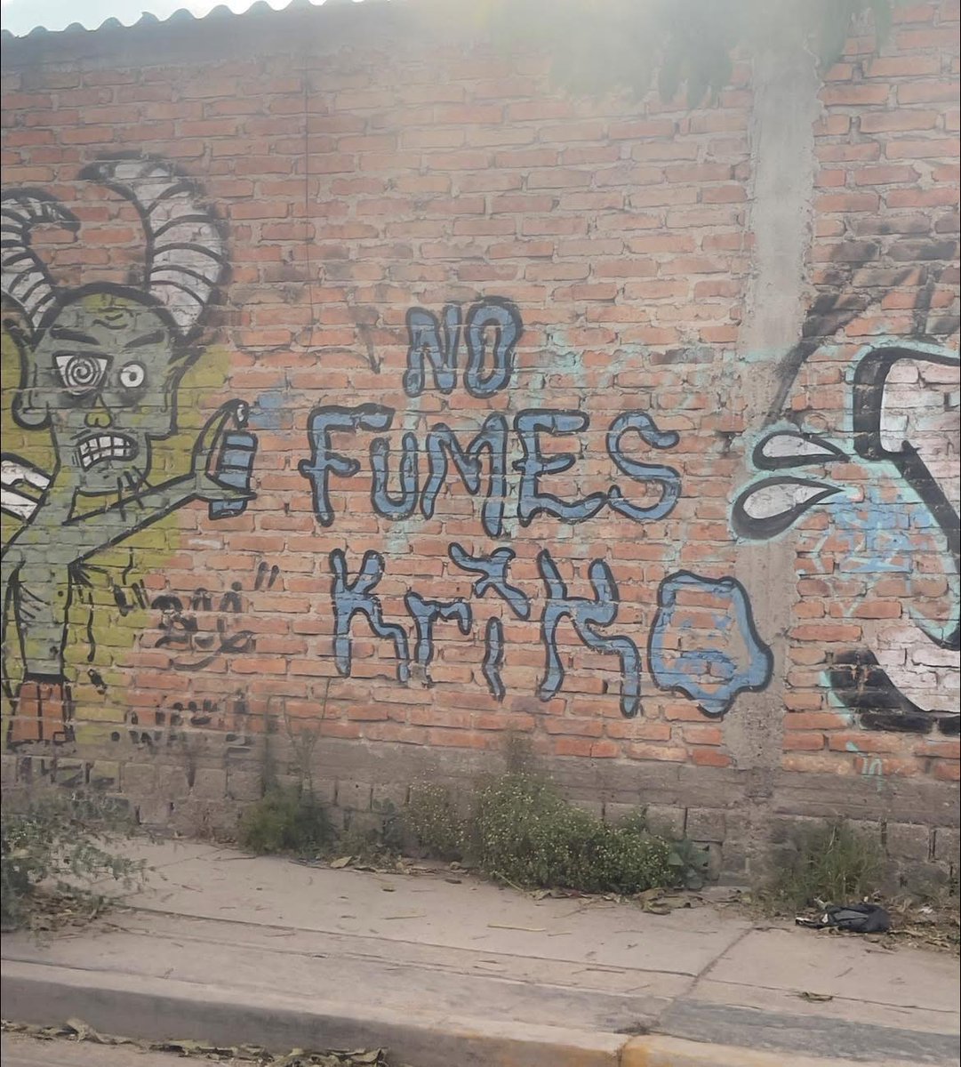 The Crazy Morro tweet media