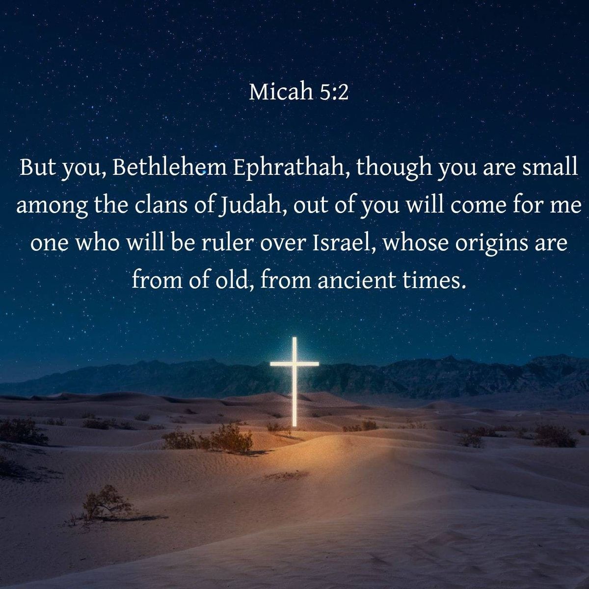 CAT1PRO's tweet image. #JESUS