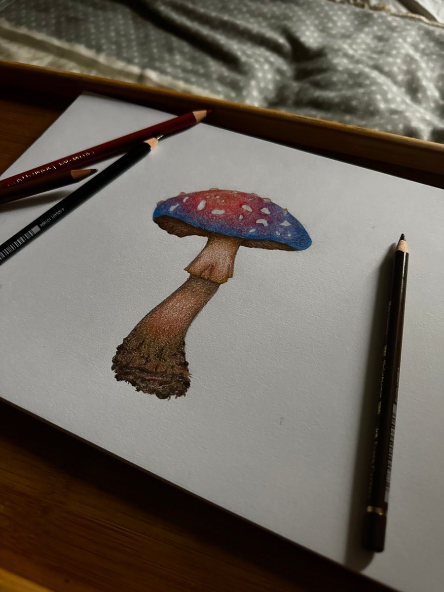 MariaMa06467647's tweet photo. imagine hating me and i'm just in my room drawing mushrooms 😭 https://t.co/WZ910R7qTr