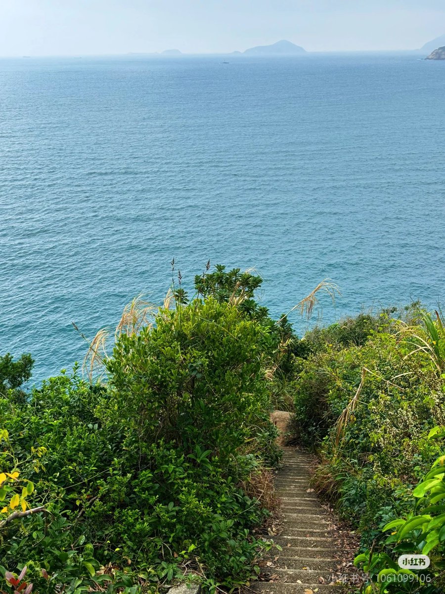 EnjoyLifeOday's tweet photo. 🇭🇰被入口耽误了的香港小众景点
哥连臣角炮台遗址 https://t.co/caFSfVDsIp