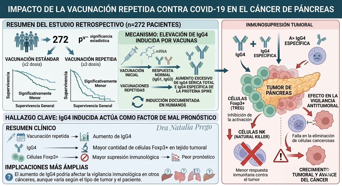 Dra. Natalia Prego Cancelo MD tweet media