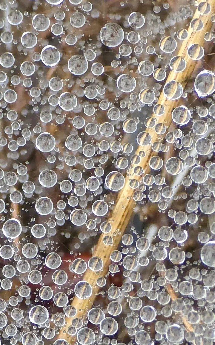 NicoEstevelle's tweet image. Las ventanas, con sus arcos perfectos de vidrio empañado por décadas venideras irán desambigüando superficies rectangulares de las buhardillas.
#Photography.📸📸🥃🥃.
#BlackAndWhite.📸🧧🧧📸🛤️🛤️🛤️.
#Mountains.🏙️🏙️🏙️🌐🌐🌐🌐.
#NewMonday.🎛️🎛️🎙️🎙️🎻🎻.
#ArcosPerfectos.⛩️⛩️🎻🎻.