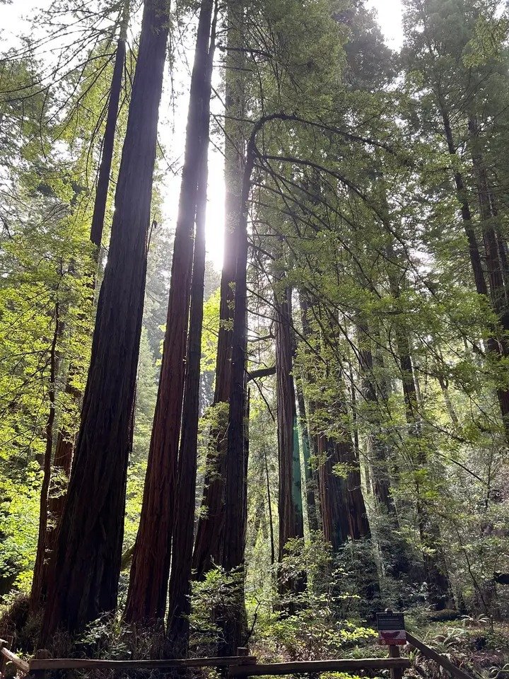 NicoEstevelle's tweet image. Las ventanas, con sus arcos perfectos de vidrio empañado por décadas venideras irán desambigüando superficies rectangulares de las buhardillas.
#Photography.📸📸🥃🥃.
#BlackAndWhite.📸🧧🧧📸🛤️🛤️🛤️.
#Mountains.🏙️🏙️🏙️🌐🌐🌐🌐.
#NewMonday.🎛️🎛️🎙️🎙️🎻🎻.
#ArcosPerfectos.⛩️⛩️🎻🎻.