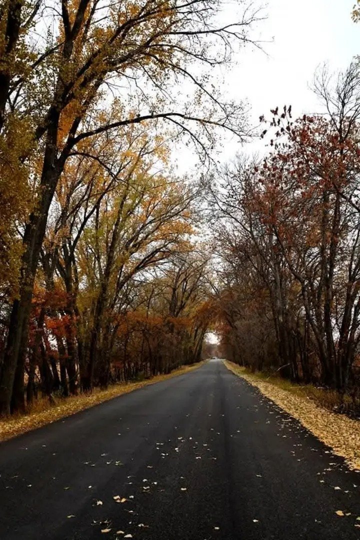 NicoEstevelle's tweet image. Las ventanas, con sus arcos perfectos de vidrio empañado por décadas venideras irán desambigüando superficies rectangulares de las buhardillas.
#Photography.📸📸🥃🥃.
#BlackAndWhite.📸🧧🧧📸🛤️🛤️🛤️.
#Mountains.🏙️🏙️🏙️🌐🌐🌐🌐.
#NewMonday.🎛️🎛️🎙️🎙️🎻🎻.
#ArcosPerfectos.⛩️⛩️🎻🎻.