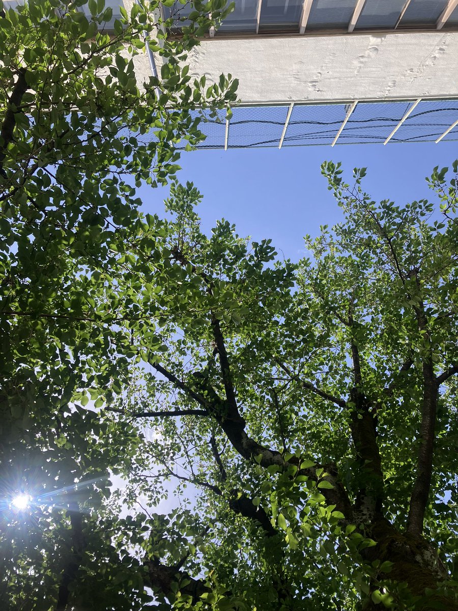 黑 ｲﾄ tweet media