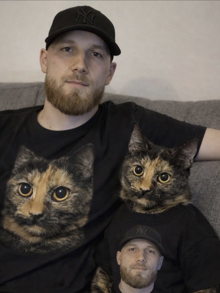 The Cats 𝕏 tweet media