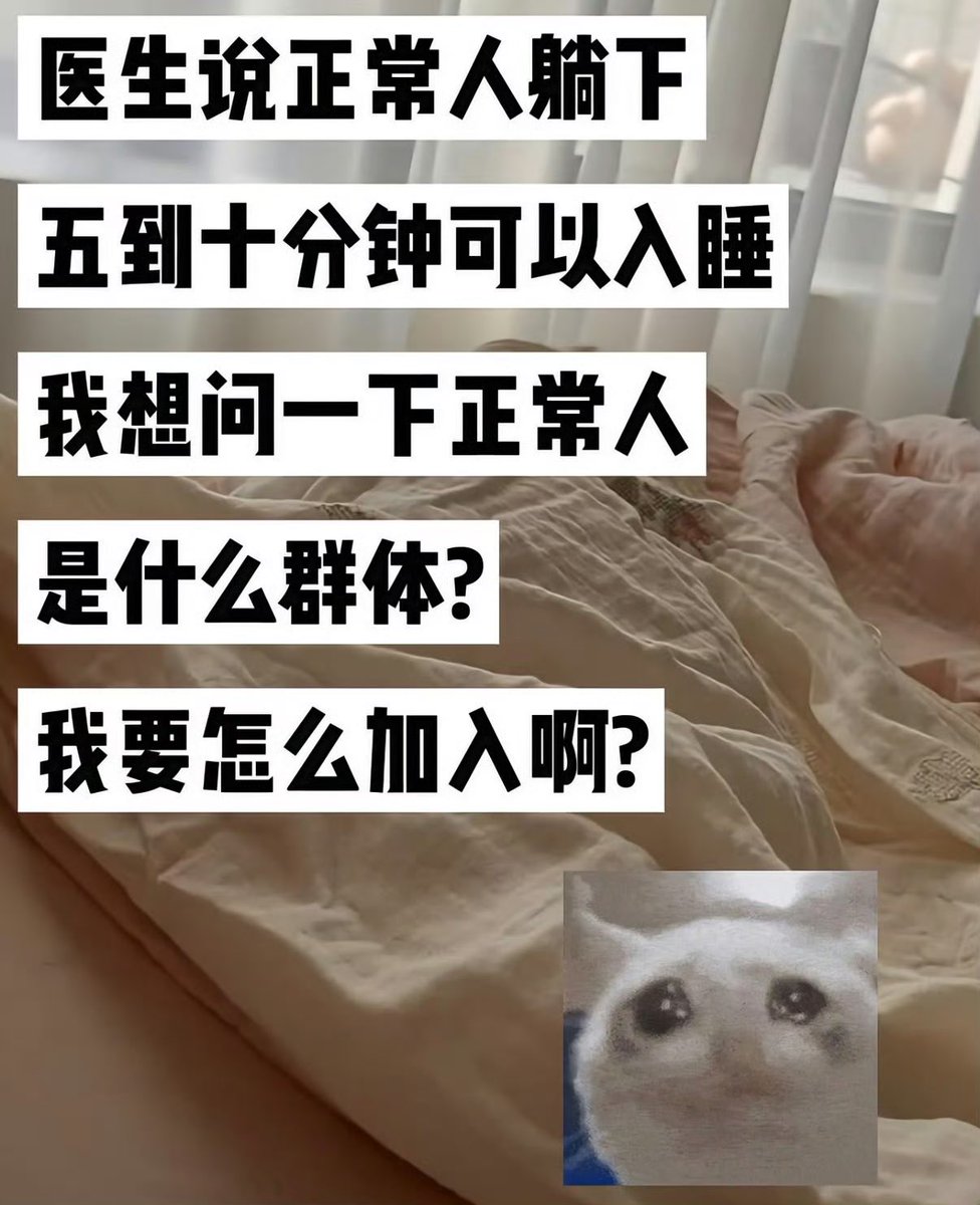 夜之城鼠鼠 tweet media