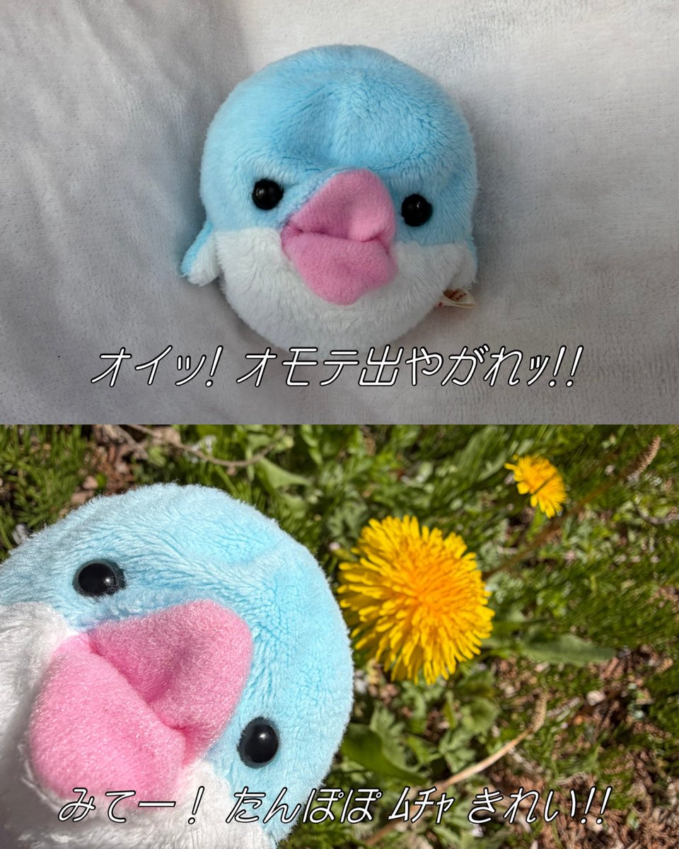 ささやか生活 tweet media