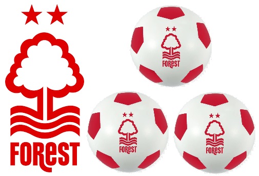Soccer_Stats's tweet image. Monday's Football Trivia Question:

Who scored Nottingham Forest's four Premier League Hat-Tricks?

#NFFC #Forest #FootballQuiz 
myfootballfacts.com/question_of_th…