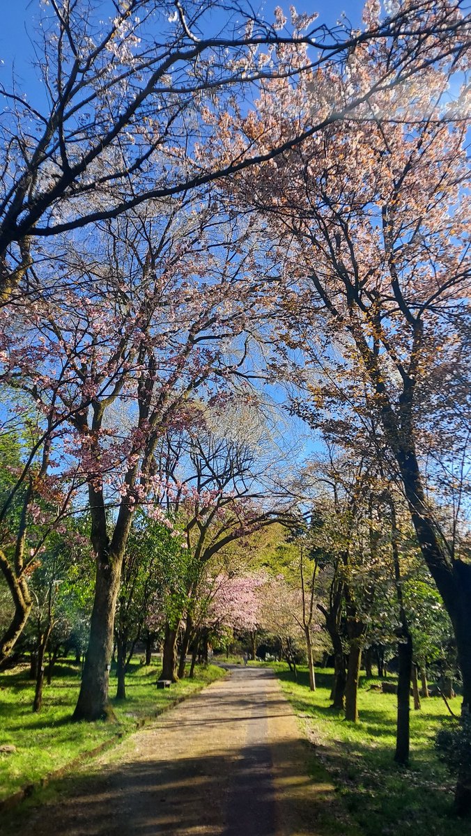 -ひでたけ- hidetake minami ☺️🍀 tweet media