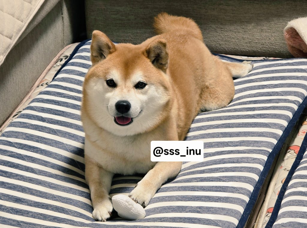 おにぎりﾁｮｲ…