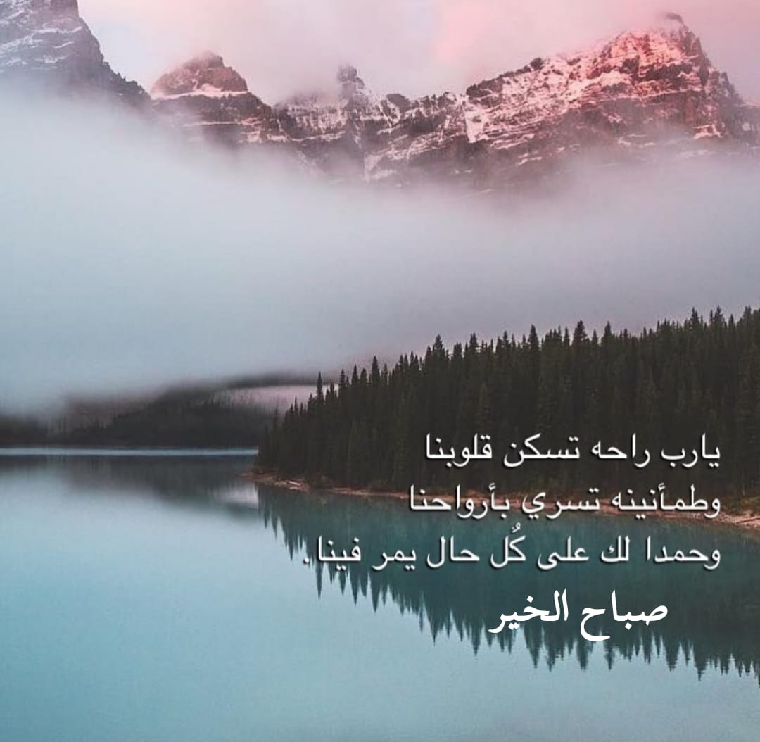 ✴ السراب ✴ tweet media