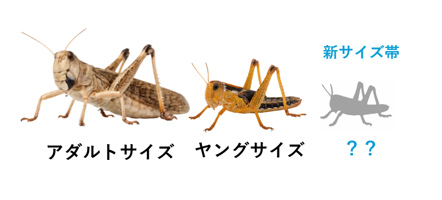 東京エキゾチックフィーダー tweet media