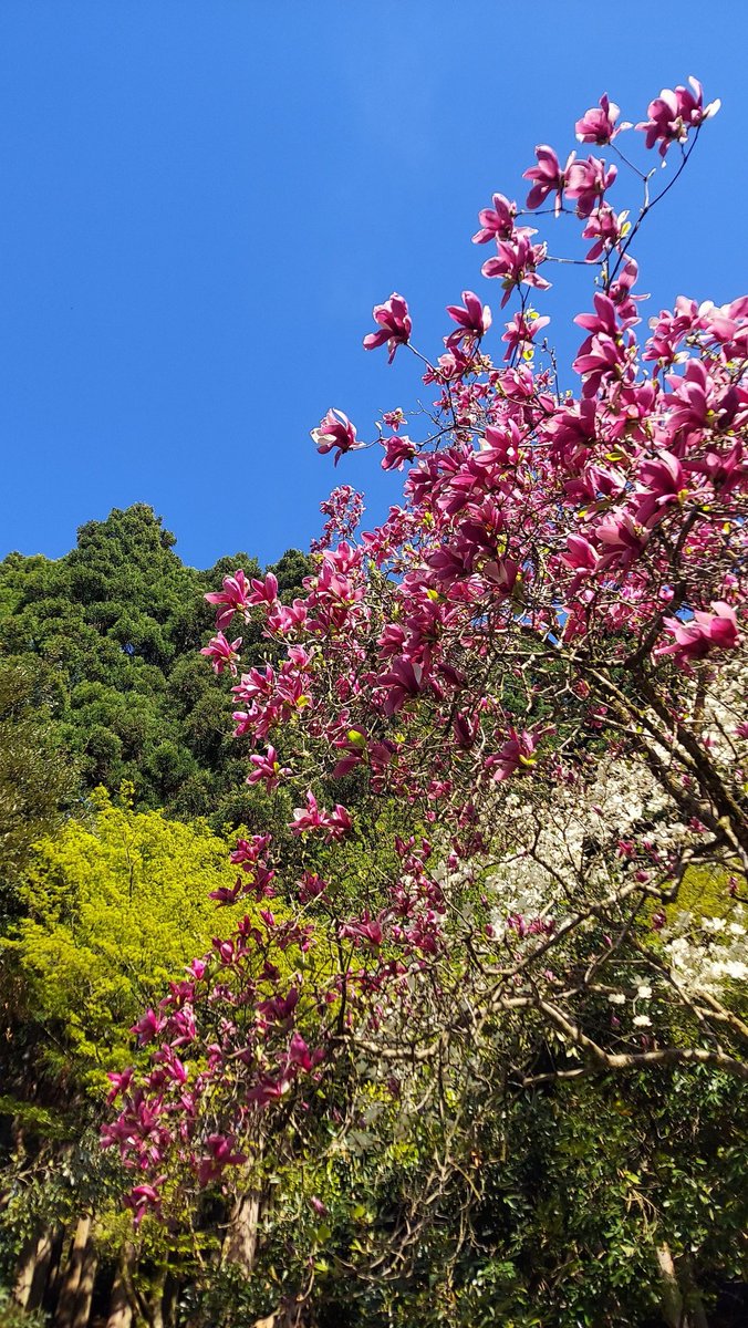 -ひでたけ- hidetake minami ☺️🍀 tweet media