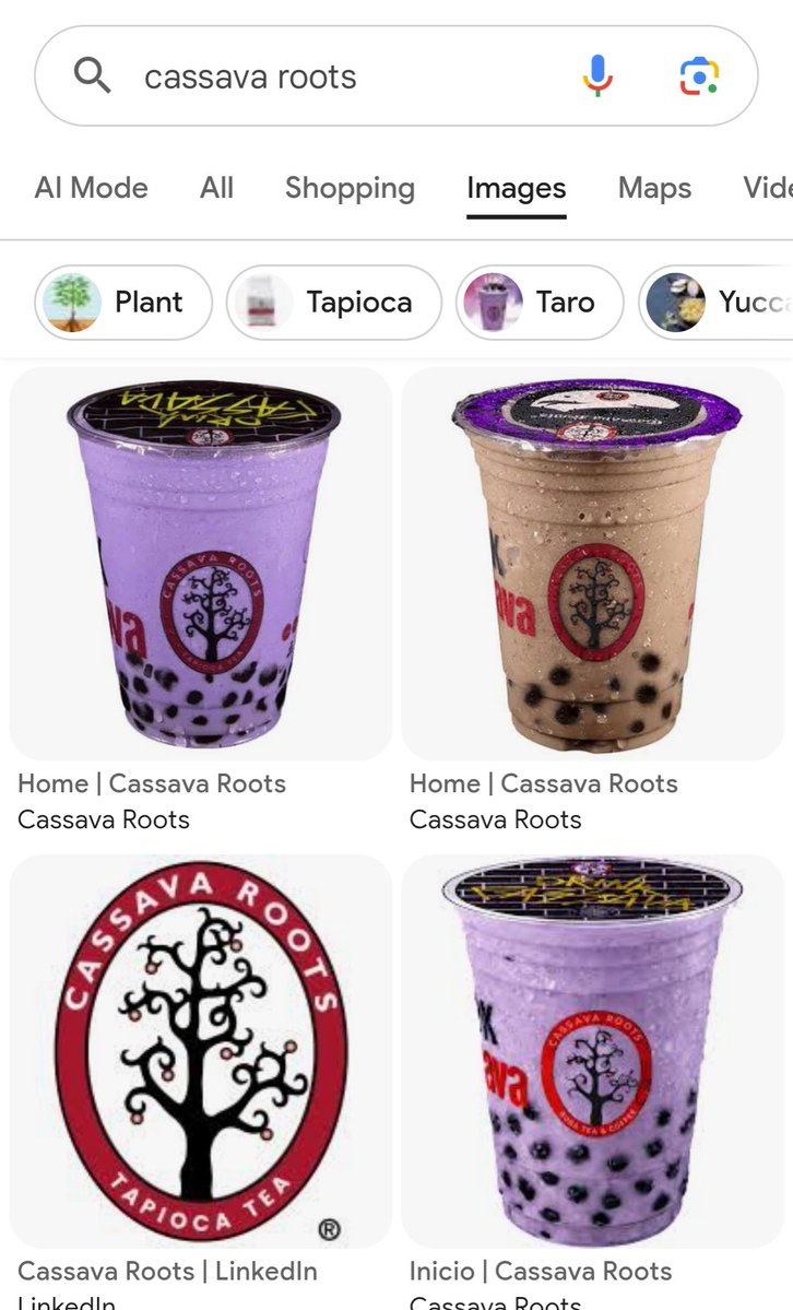 Desde que supe que esto es yuca, solo leo raíz de yuca en estos locales 😂