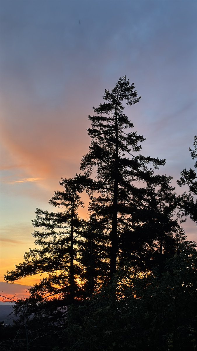 🇺🇸Us3rm0d🇺🇸 tweet media