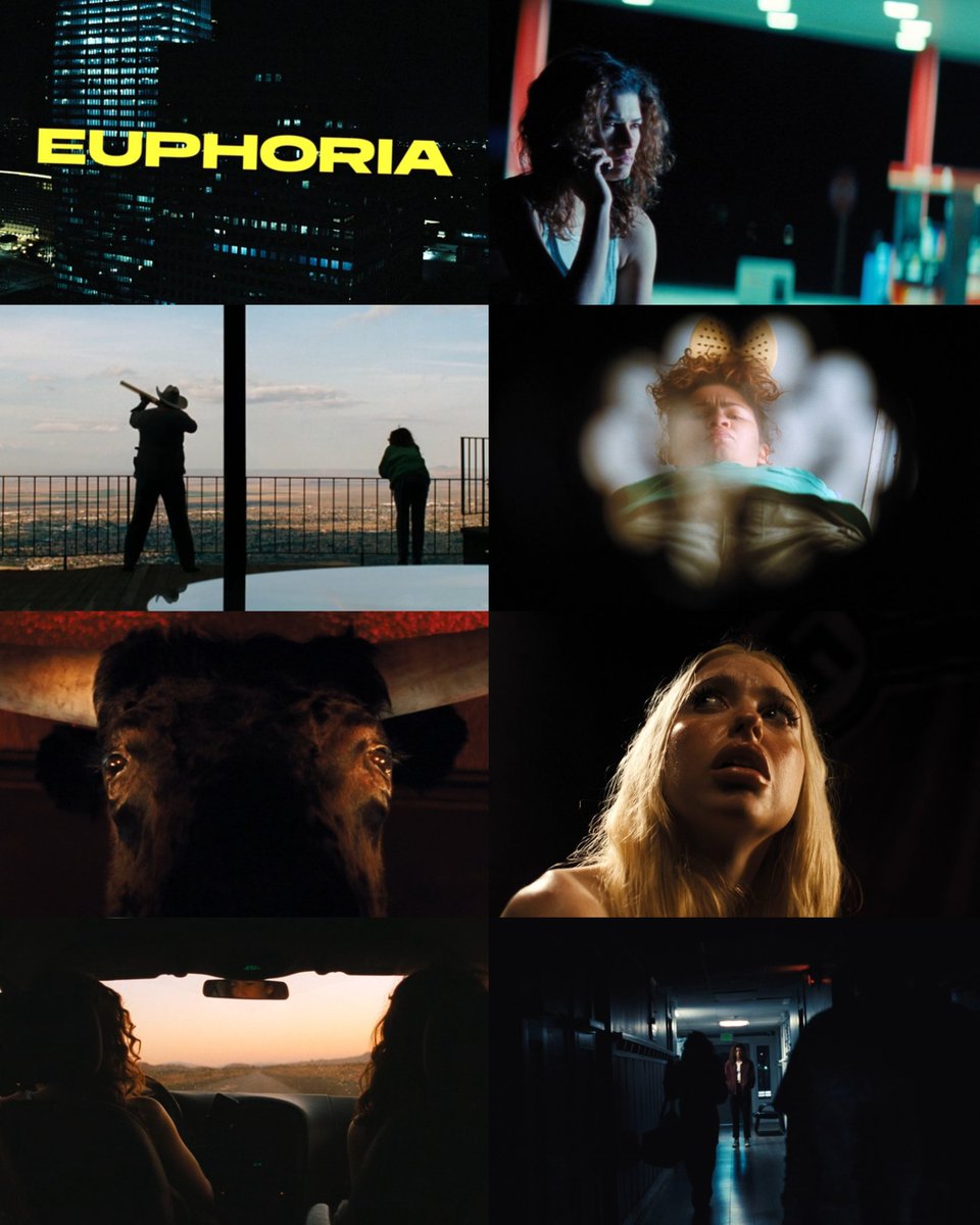 CINEMA 505 tweet media