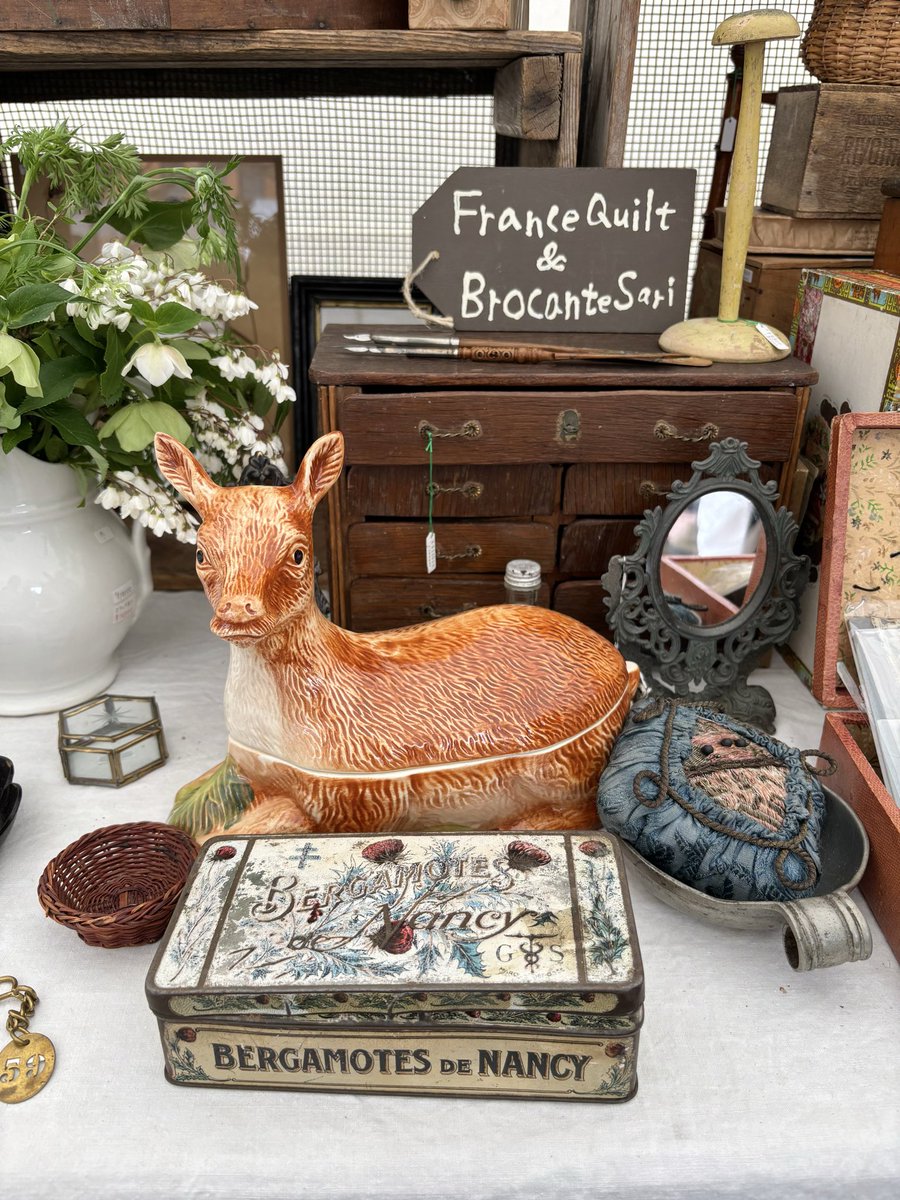 コリス tweet media