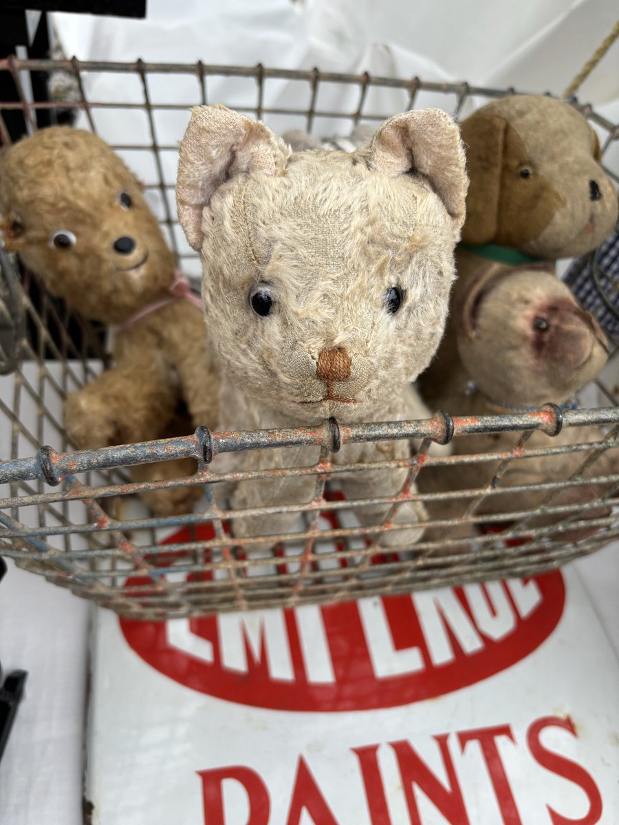 コリス tweet media