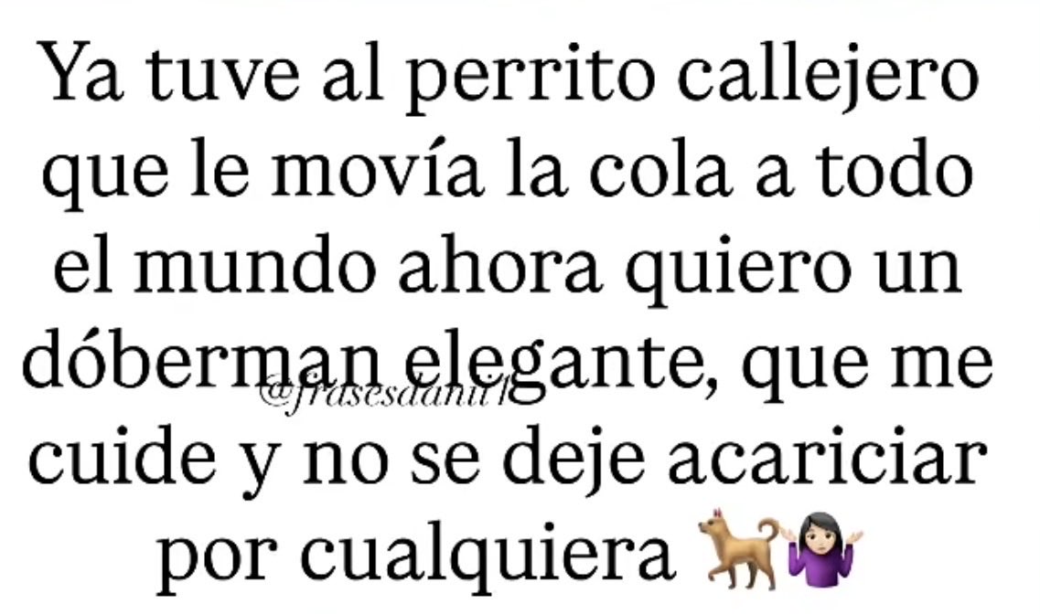 CajetaTnt02's tweet photo. Los perritos piojosos https://t.co/sfA9s8MMfB