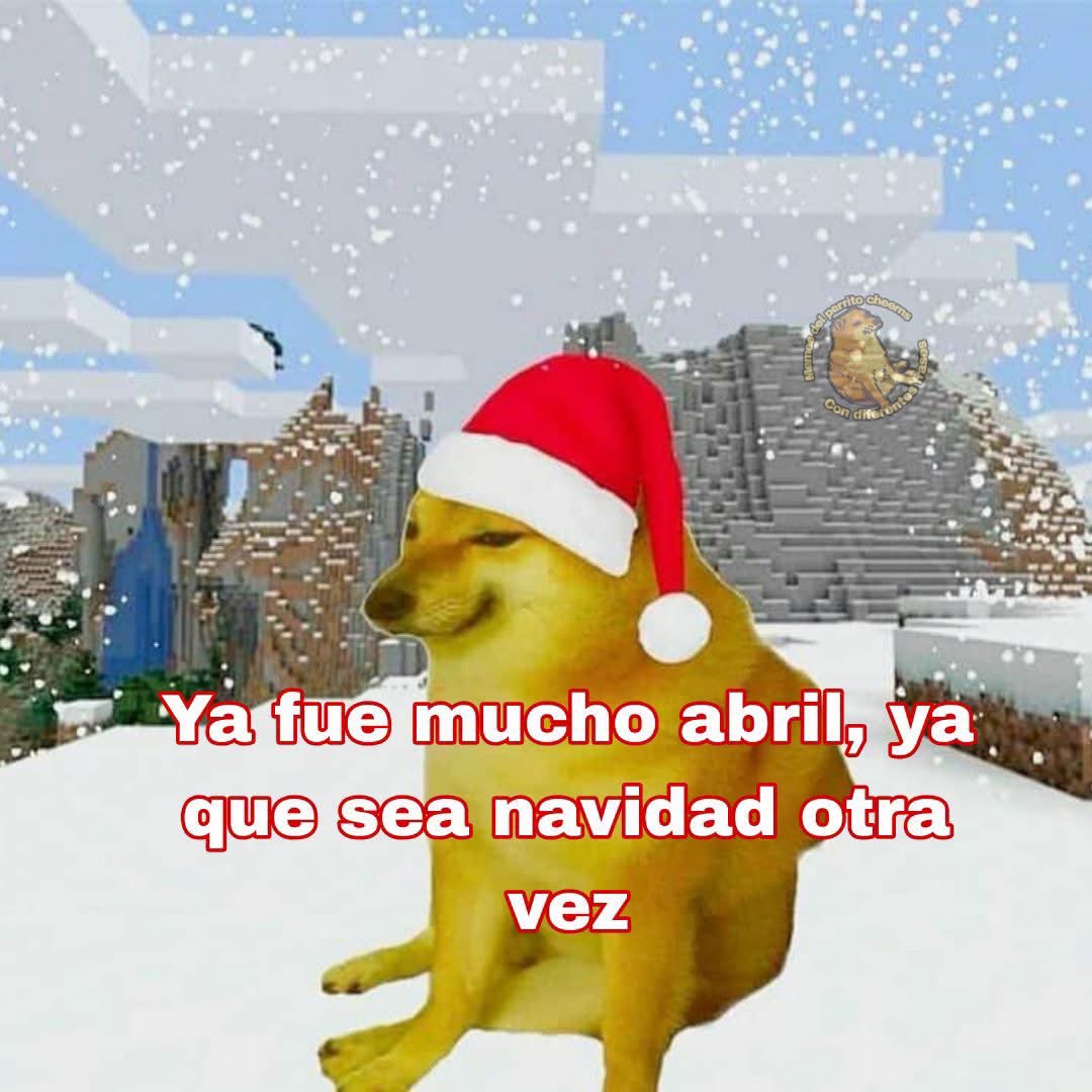 Cheems Rojo tweet media
