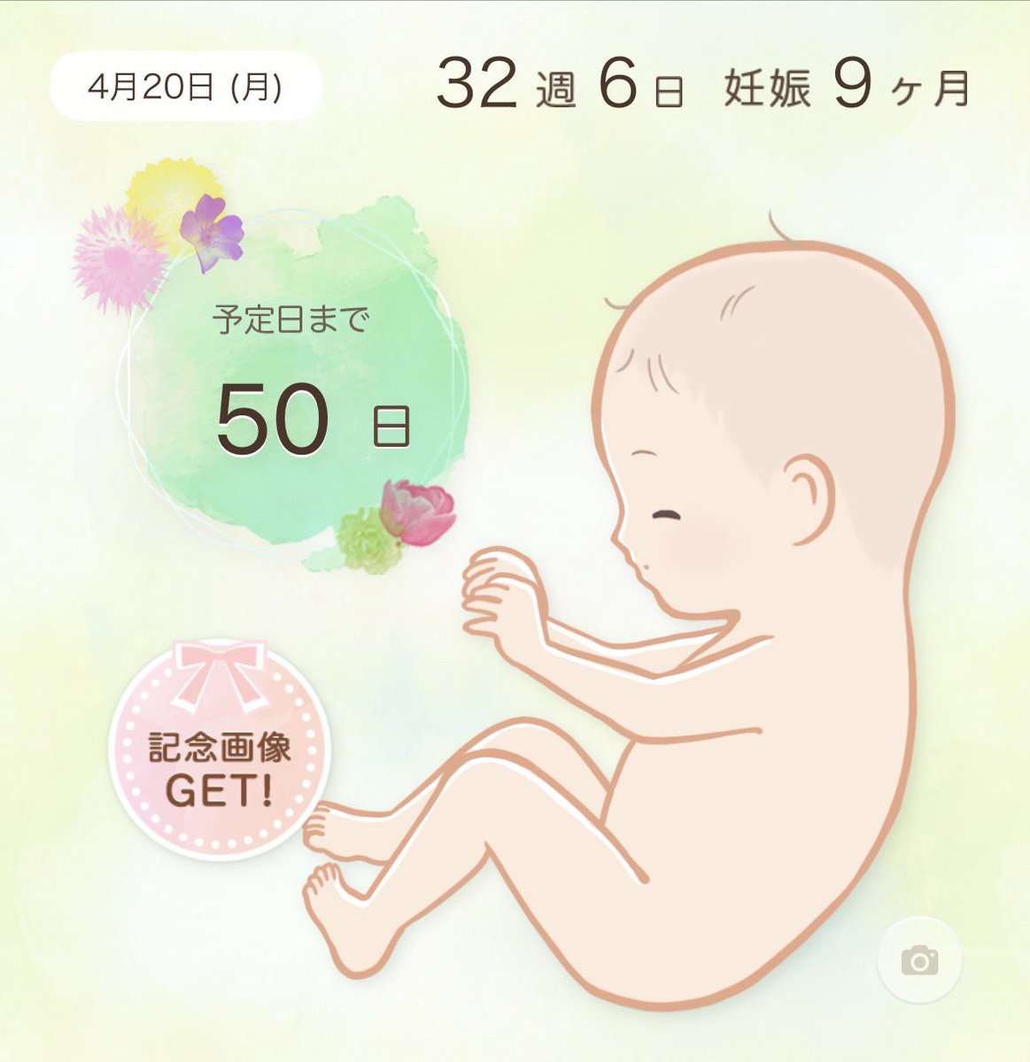 おにこたん🏖 tweet media