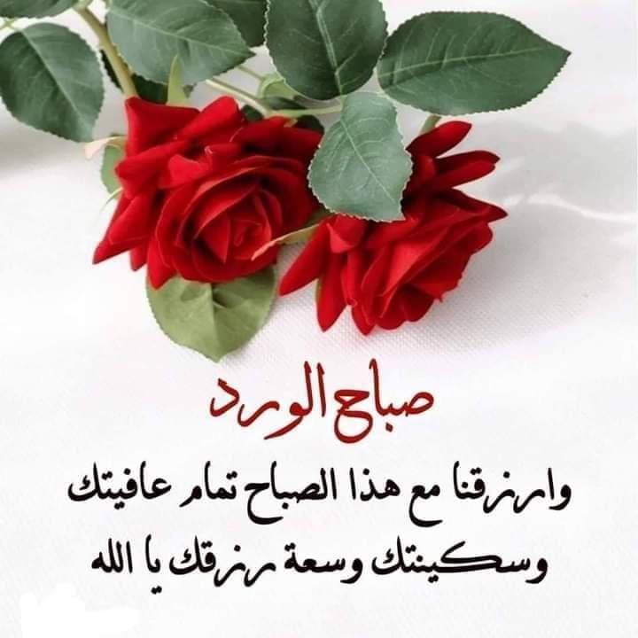 🌸maha🌸 tweet media