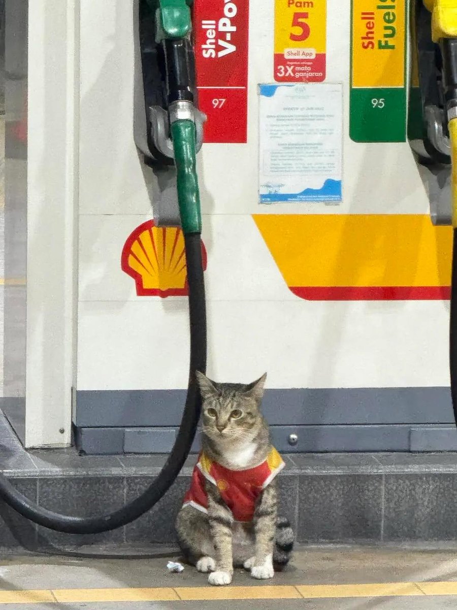 แม่บอกให้ทำงานหาค่าเปียก