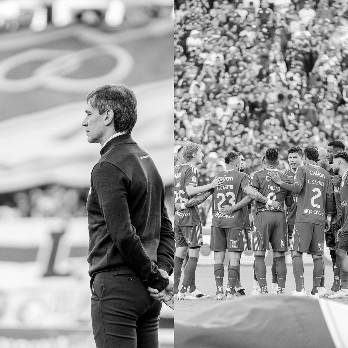 GLORIOSO AZUL tweet media