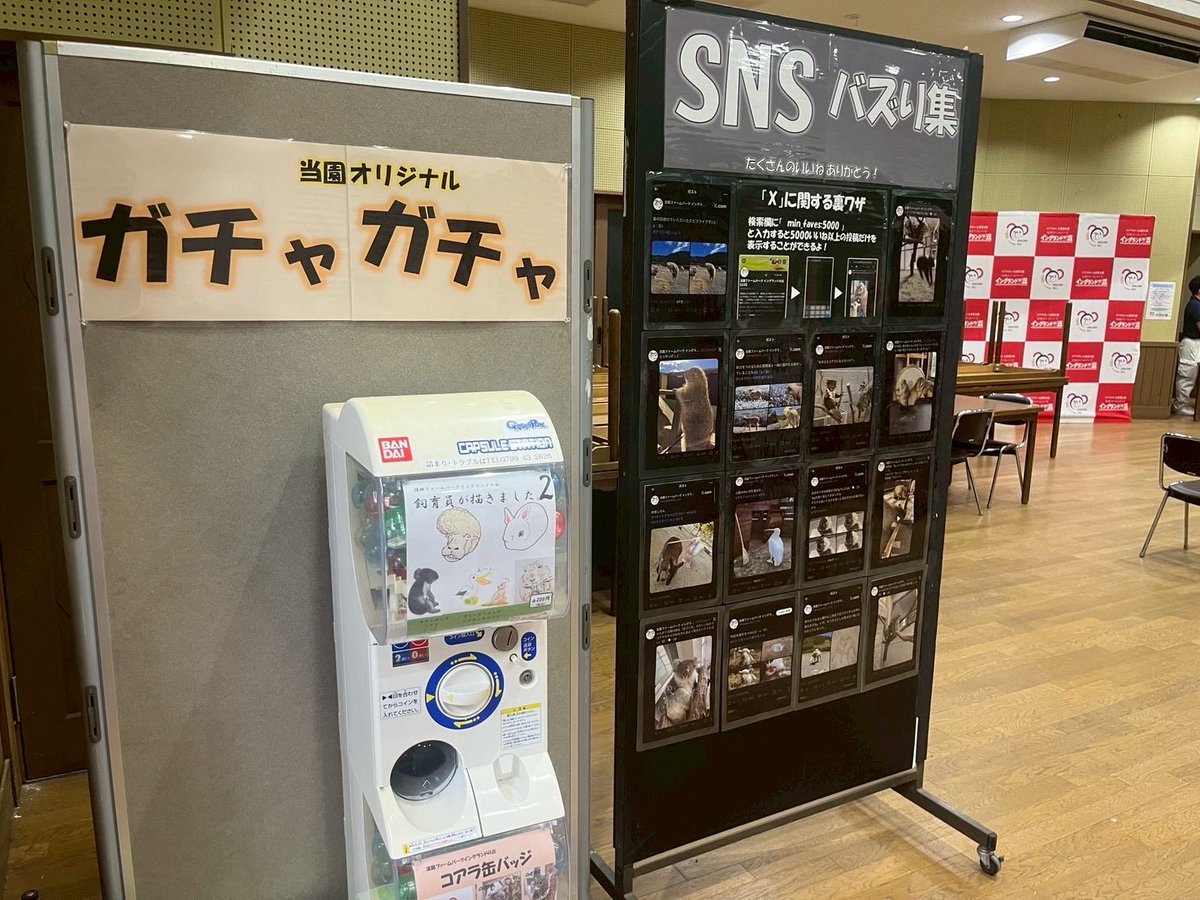 淡路ファームパーク イングランドの丘【公式】 tweet media