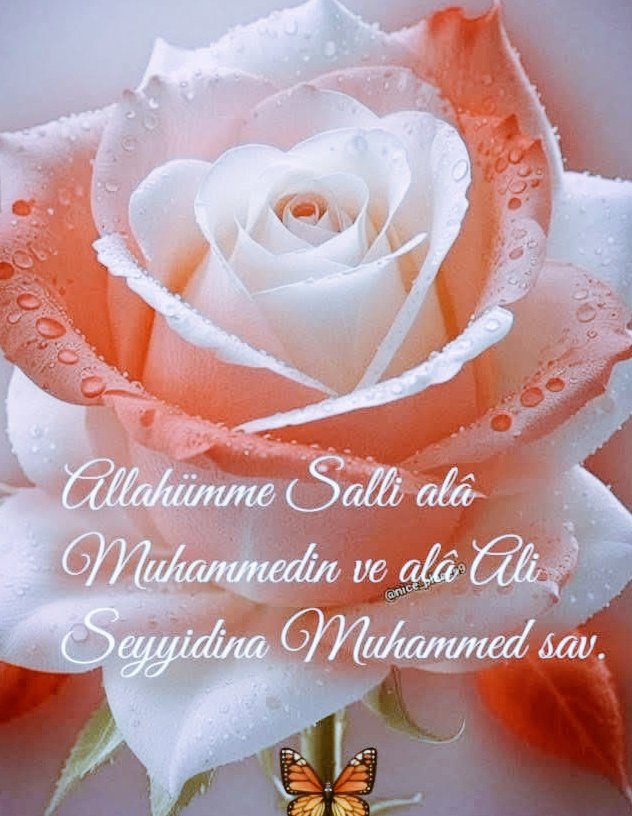 damlasukaya06's tweet image. 🌹#Bismillahirrahmanirrahim 

#Allah'ım! 
#Peygamber Efendimiz ve gönül sultanımız 
#Muhammed (s.a.v.)'e 
kendisini hatırlayıp yâdedenlerin sayısınca #salât eyle.

#Allahummesallialaseyidinamuhammed s.a.v ⚘
#HayırlıSabahlar 
#Namazdinindireği