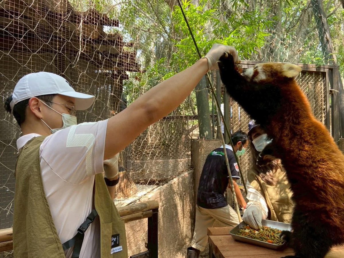 สวนสัตว์เปิดเขาเขียว Khao Kheow Open Zoo tweet media